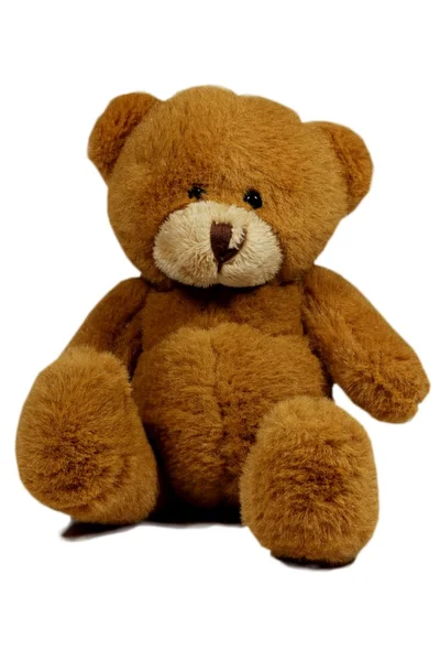 Einzelner brauner Teddybär — Stockfoto