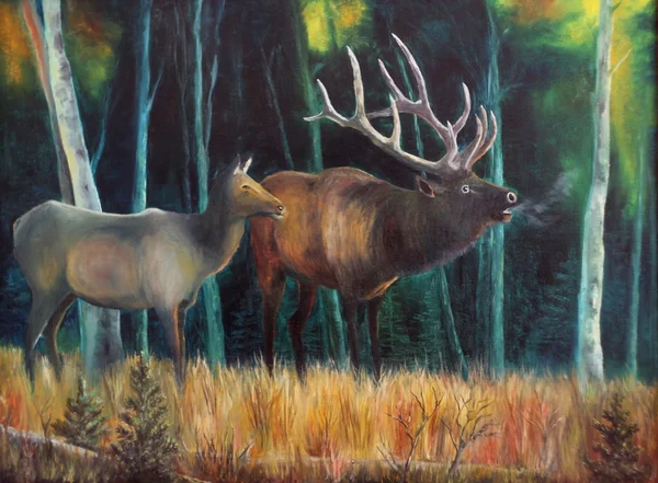Dears in forest - oil painting — Stock Photo, Image