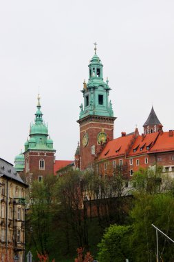 Wawel royal castle civarındaki Krakov, Polonya