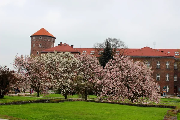 在克拉科夫，波兰的瓦维尔皇家城堡 — 图库照片
