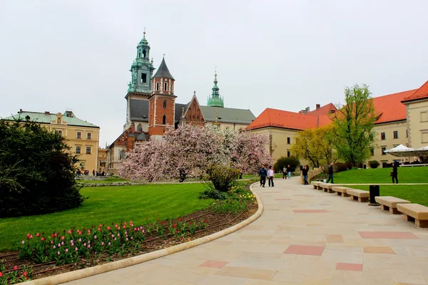 Basilikaen St Stanislaw og Vaclav eller Wawel Cathedral på Wawel Hill i Krakow, Polen - Stock-foto