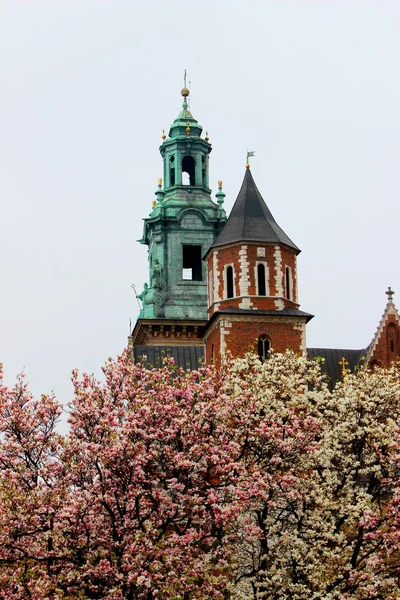 Η Βασιλική του st stanislaw και Βάτσλαβ ή wawel καθεδρικός ναός στο λόφο του wawel της Κρακοβίας, Πολωνία — Φωτογραφία Αρχείου