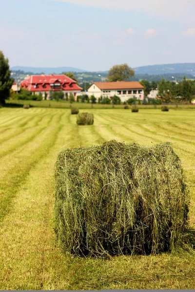 Campo colhido com fardos de palha no verão — Fotografia de Stock