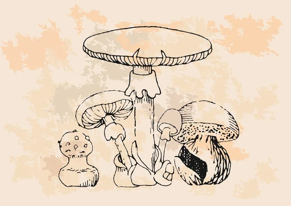 Ретро гриби набір — стоковий вектор