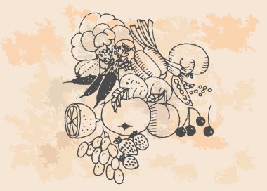 vektör meyve ve sebze, retro tarzı