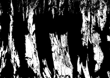 vektör sıfırdan doku