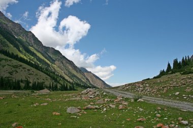 Tien shan Dağları, Kırgızistan, dzhuku Vadisi