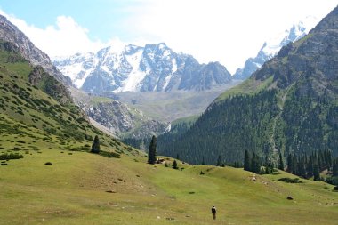 Tien shan Dağları, Kırgızistan, dzhuku Vadisi