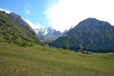 Tien shan Dağları, Kırgızistan, dzhuku Vadisi
