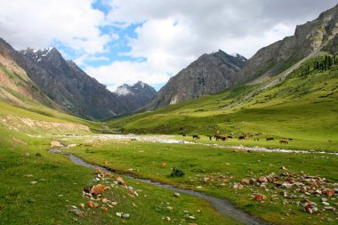 Tien shan Dağları, Kırgızistan, dzhuku Vadisi