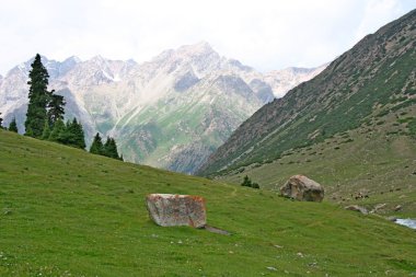 Tien shan Dağları, Kırgızistan, dzhuku Vadisi