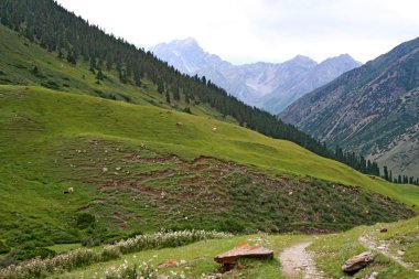 ashukashka suu Vadisi, tien Tanrı Dağları, Kırgızistan
