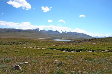Tien shan syrts, Kırgızistan