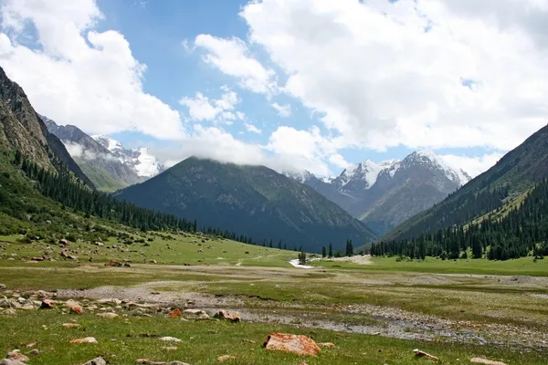 Montañas Tien Shan, Kirguistán, Valle de Dzhuku — Foto de Stock
