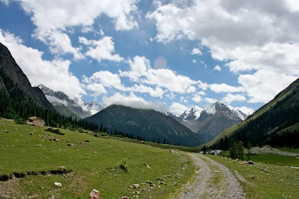 Tien Shan mountains, Kyrgyzstan, Dzhuku Valley — Stock Photo, Image