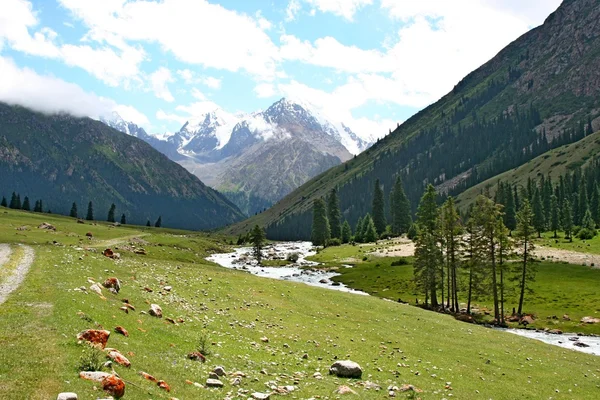 Montañas Tien Shan, Kirguistán, Valle de Dzhuku — Foto de Stock