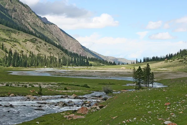 ภูเขาเทียนชาน, คีร์กีซสถาน, หุบเขา Dzhuku — ภาพถ่ายสต็อก