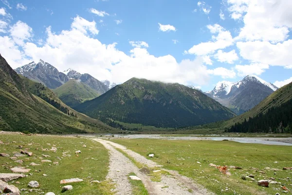Tien Shan mountains, Kyrgyzstan, Dzhuku Valley — Stock Photo, Image