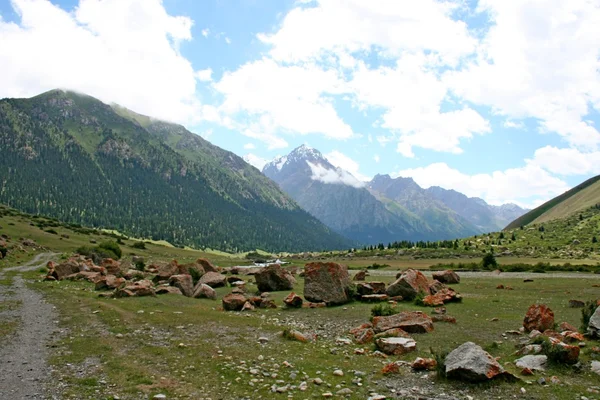 Tien Shan mountains, Kyrgyzstan, Dzhuku Valley — Stock Photo, Image