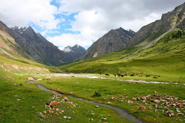 田北俊议员山山脉，吉尔吉斯斯坦，dzhuku 谷 — 图库照片