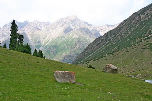 Tien shan hory, Kyrgyzstán, dzhuku údolí — Stock fotografie