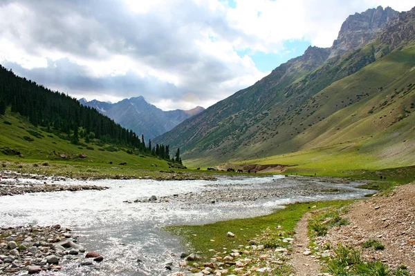 Ashukashka suu doliny, góry tien shan, Kirgistan — Zdjęcie stockowe