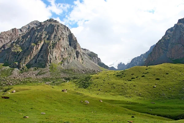 Ashukashka Suu valley, Tien Shan mountains, Kyrgyzstan — Stock Photo, Image