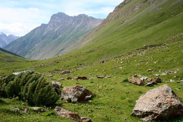 Valle de Ashukashka Suu, montañas Tien Shan, Kirguistán — Foto de Stock