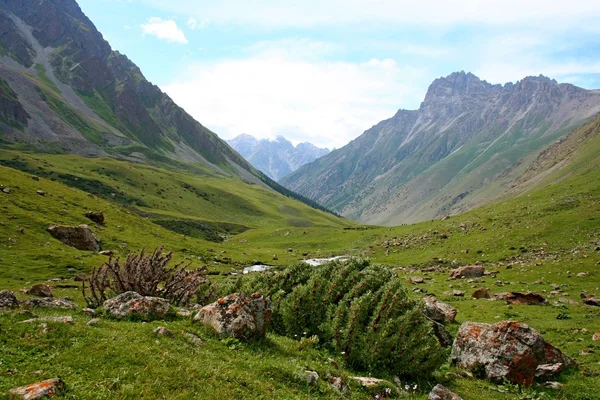 Valle de Ashukashka Suu, montañas Tien Shan, Kirguistán — Foto de Stock