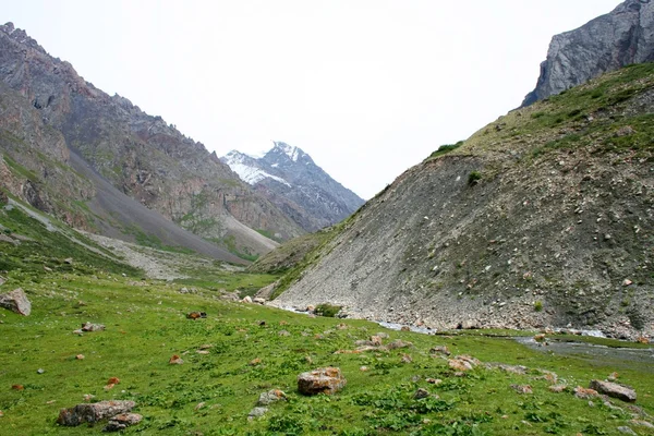 Ashukashka suu doliny, góry tien shan, Kirgistan — Zdjęcie stockowe