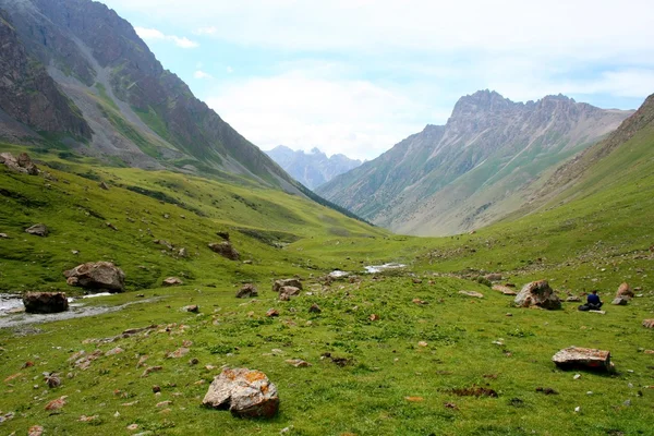 Tien Shan mountains, Kyrgyzstan, Dzhuku Valley — Stock Photo, Image