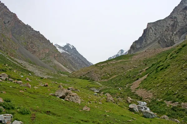 Montañas Tien Shan, Kirguistán, Valle de Dzhuku — Foto de Stock