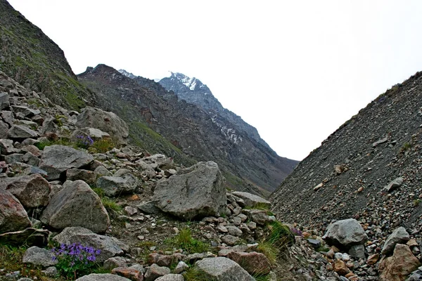 田北俊议员山山脉，吉尔吉斯斯坦，dzhuku 谷 — 图库照片