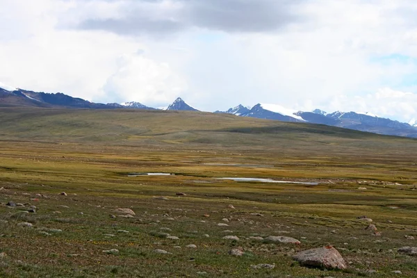 Tien-shan syrts, Kyrgyzstan — Stockfoto