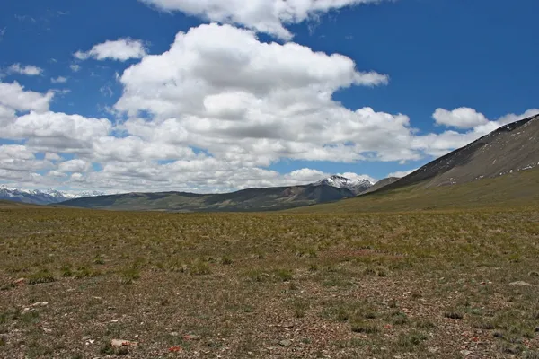 キルギス天山山脈 syrts — ストック写真