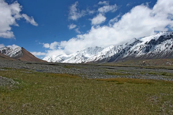 Tien-shan syrts, Kirgistan — Zdjęcie stockowe