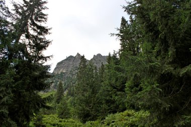 Polonya - beş havuz Vadisi Dağları tatry