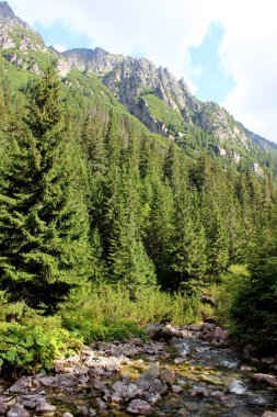 Polonya - beş havuz Vadisi Dağları tatry