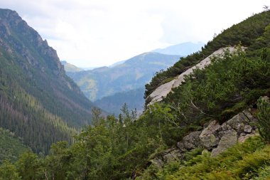 dağlar tatry Polonya - roztoka Vadisi