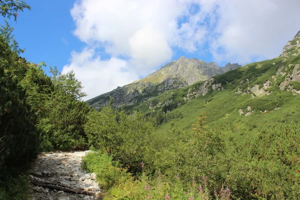 Monti Tatry in Polonia - valle di cinque stagni — Foto Stock