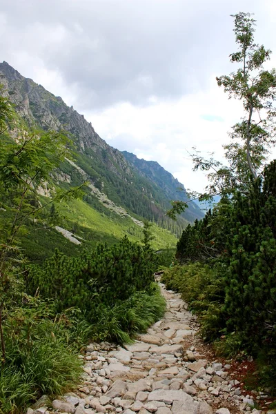 Hory tatry v Polsku - roztoka údolí — Stock fotografie