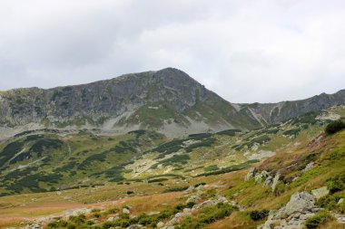 Polonya - beş havuz Vadisi Dağları tatry