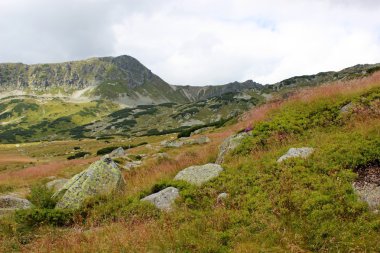 Polonya - beş havuz Vadisi Dağları tatry