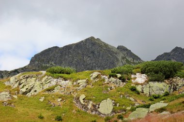 Polonya - beş havuz Vadisi Dağları tatry