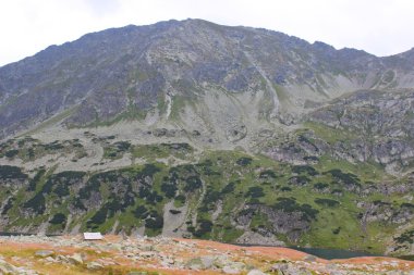 Polonya - beş havuz Vadisi Dağları tatry