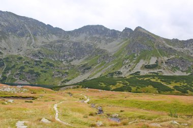 Polonya - beş havuz Vadisi Dağları tatry