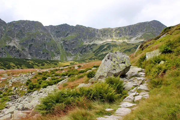 Montañas Tatry en Polonia - valle de cinco estanques —  Fotos de Stock