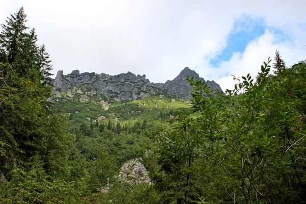 Montagnes Tatry en Pologne - vallée de cinq étangs — Photo