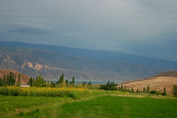 Toktogul Gölü region, kyrgyzstan — Stok fotoğraf