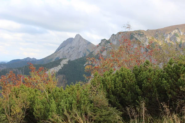 Giewont - Muntele faimos din Tatra Poloneză cu o cruce pe vârf — Fotografie, imagine de stoc